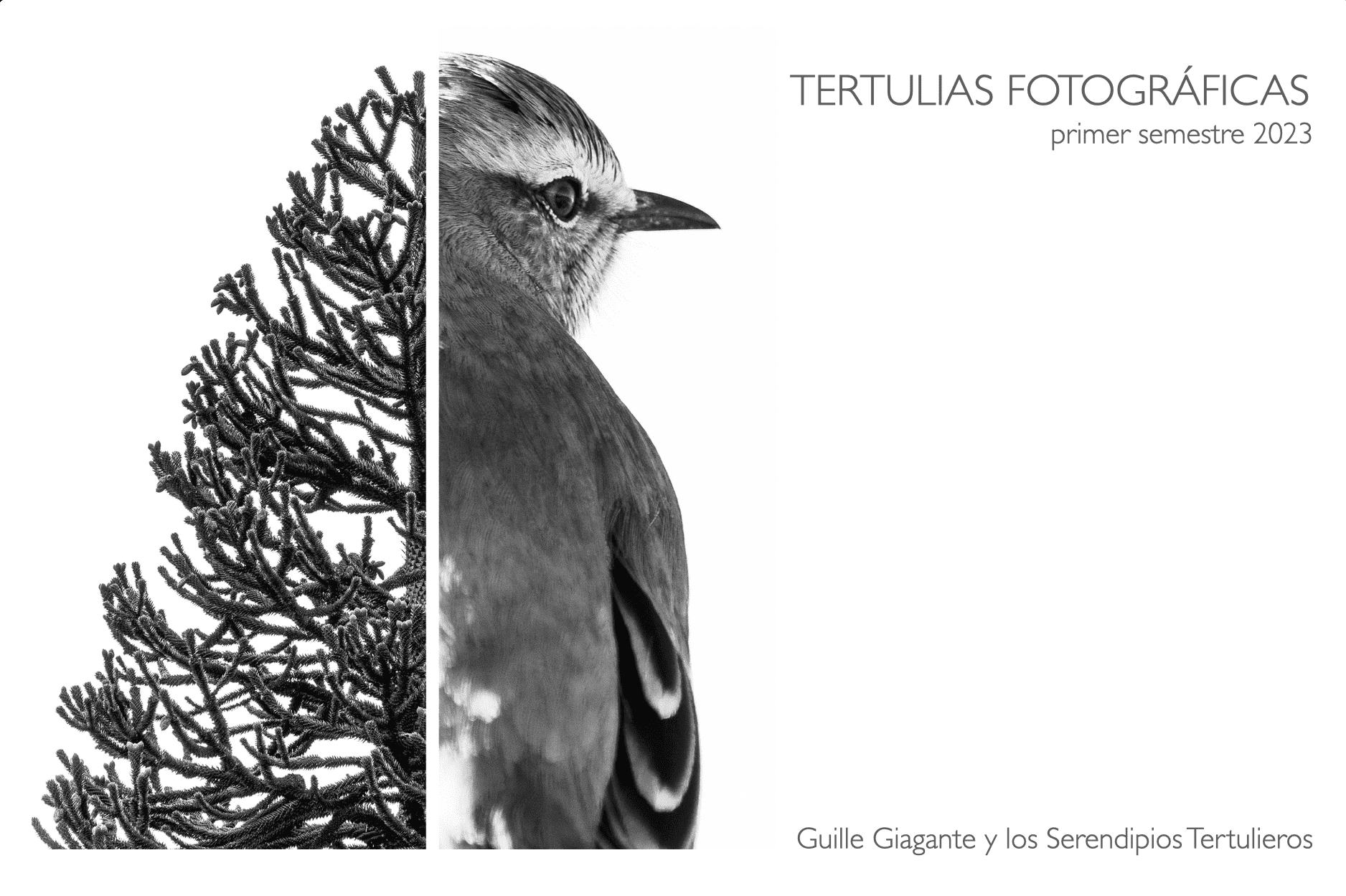Fotolibro Tertulias Fotográficas 1s23