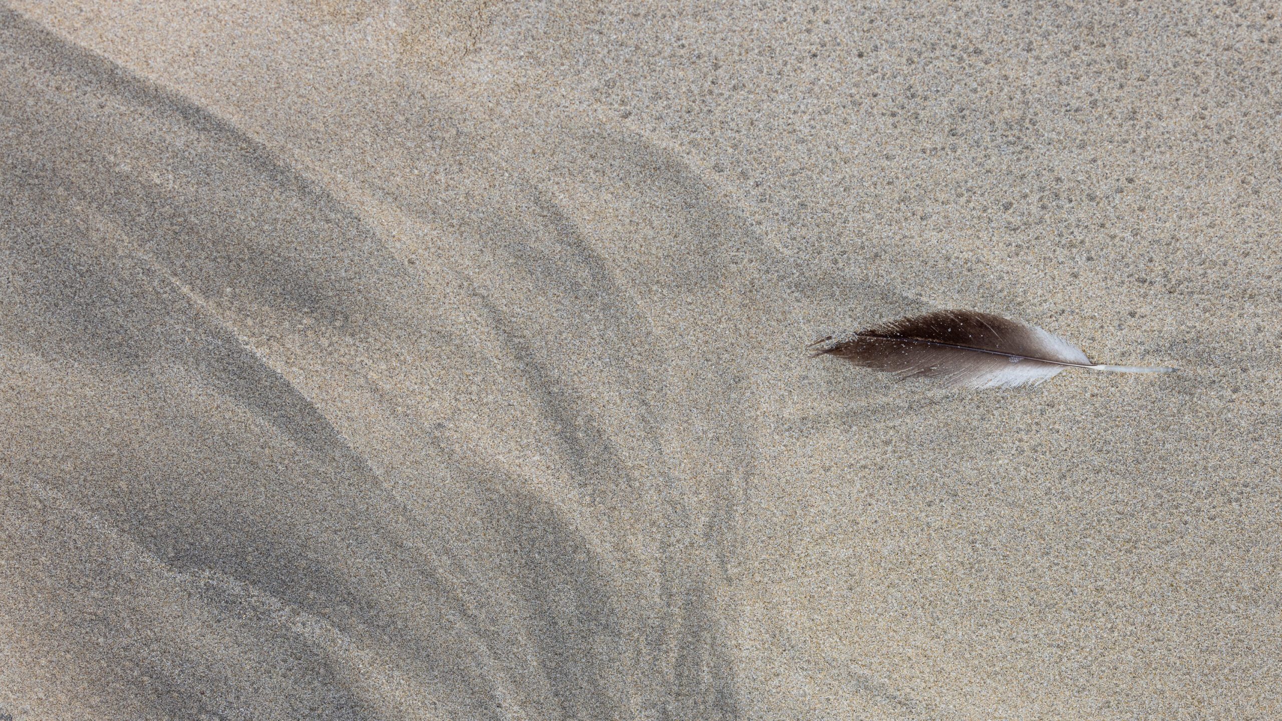 Isla Isabela, Galapagos