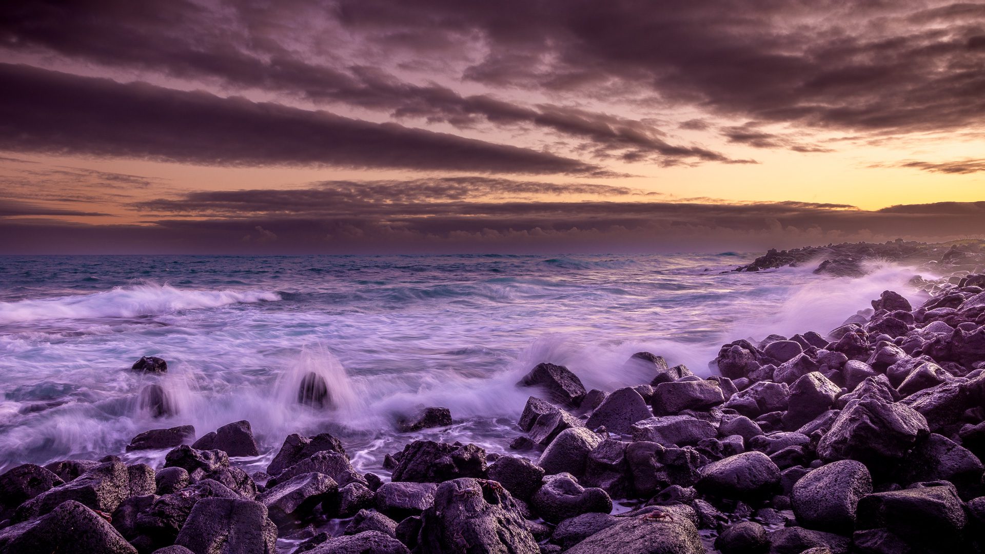 Isla Isabela, Galapagos